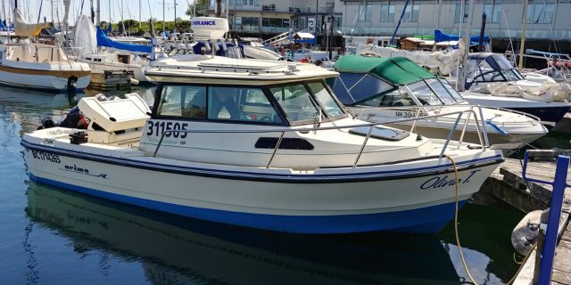 2008 Arima Sea Ranger 19