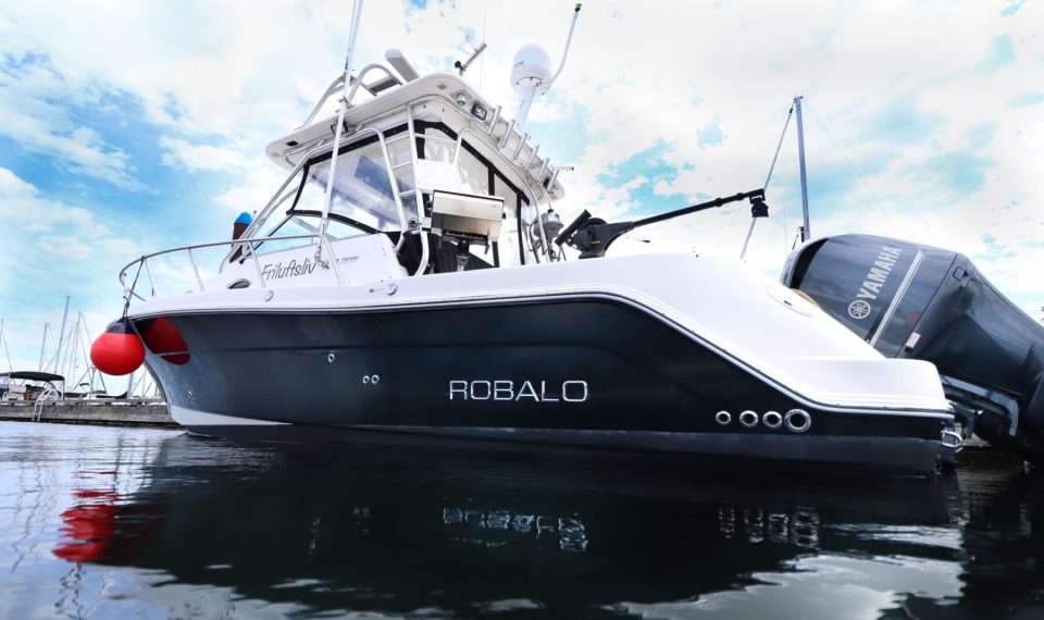 2008 Robalo R305 Express Walk-around - photo 1