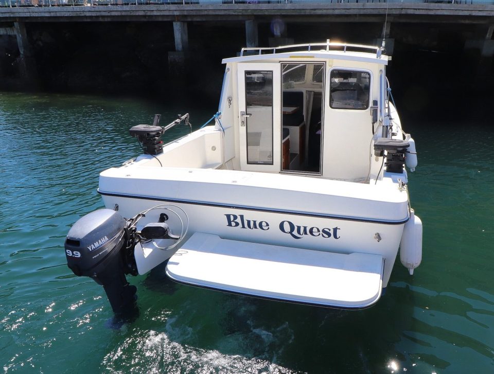 2008 SeaSport 2200 - photo 2
