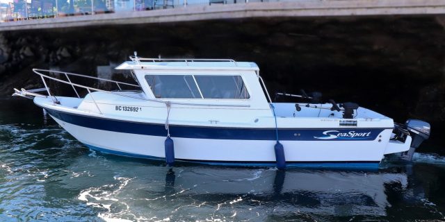 2008 SeaSport 2200