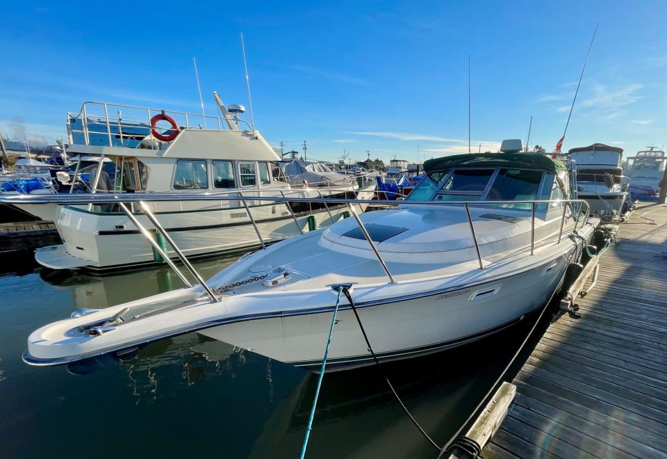 1996 Pursuit 3100 Express