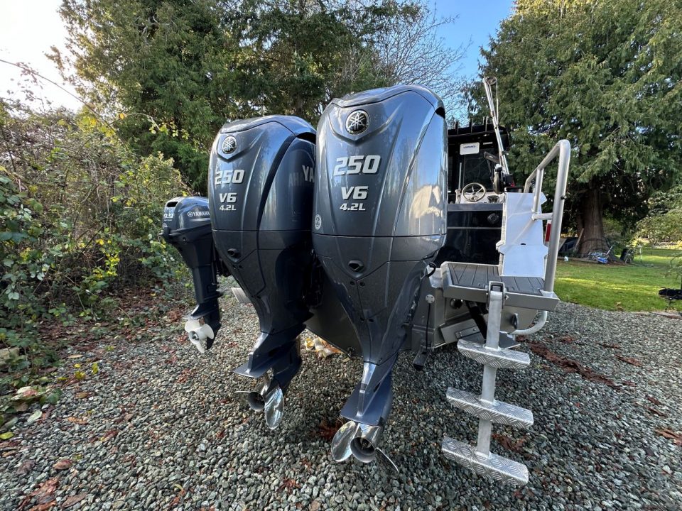 2023 Custom Ocean King