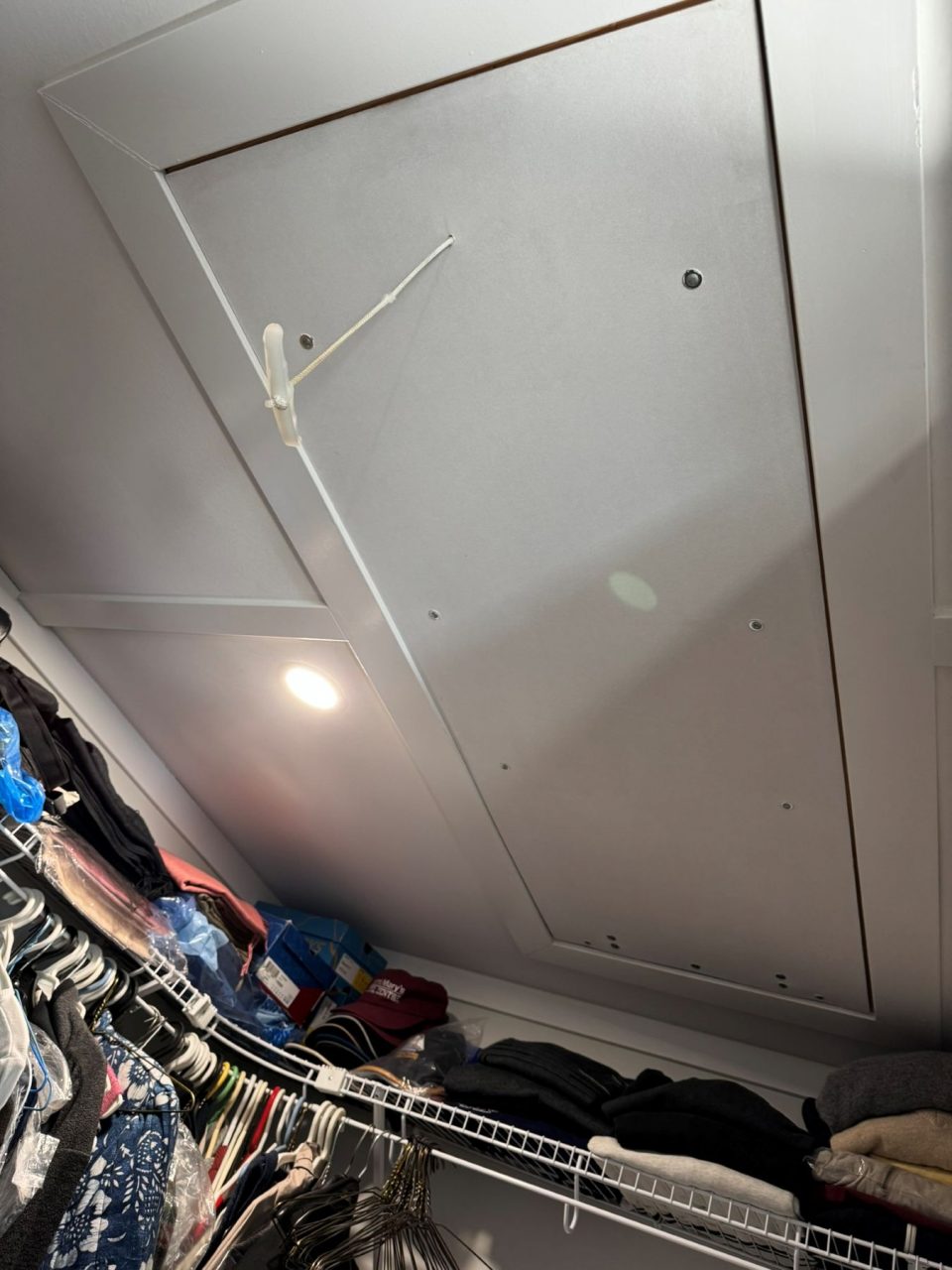 2020 Custom 1 Bedroom, 2 Bathroom Floathome