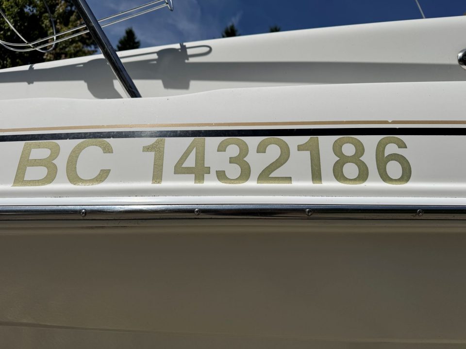 1997 Sea Ray 240 Sundancer with Trailer