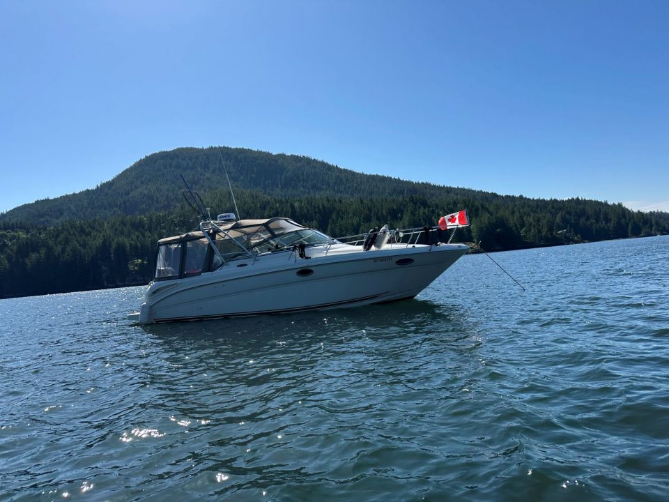 2002 Sea Ray 290 Amberjack