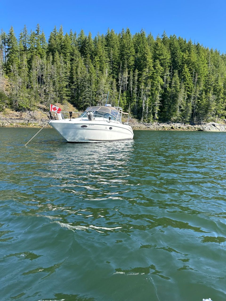 2002 Sea Ray 290 Amberjack