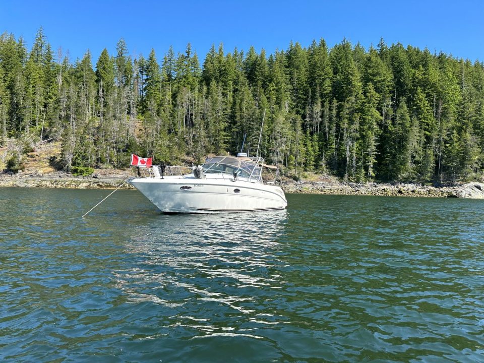 2002 Sea Ray 290 Amberjack