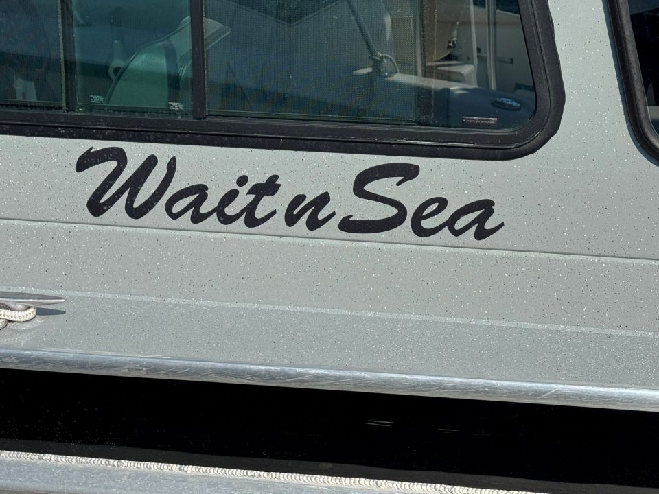 2023 Boulton VOYAGER PRO