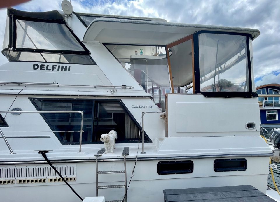 1991 Carver 42 Aft Cabin MY