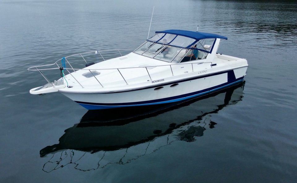 1987 Trojan 33 International Express