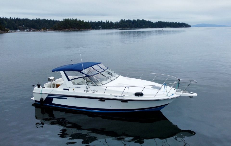 1987 Trojan 33 International Express