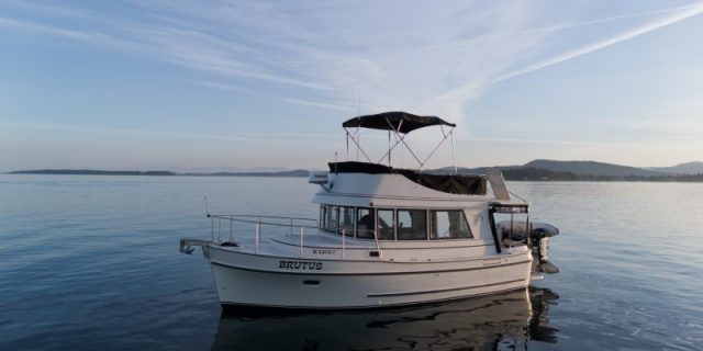 1999 Camano 31 Troll