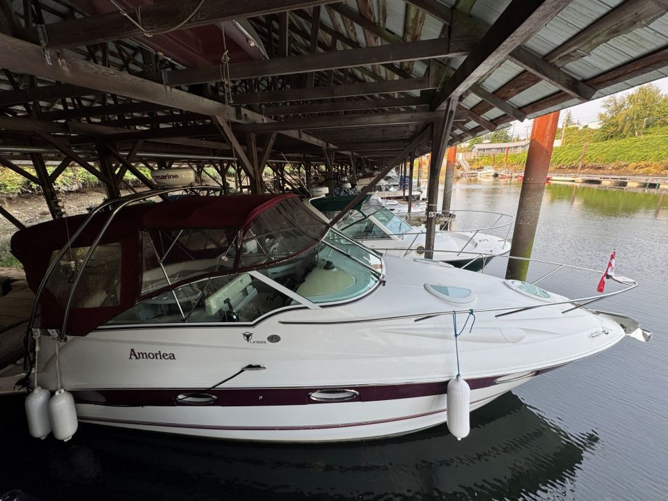 2006 Campion Allante LX 825i