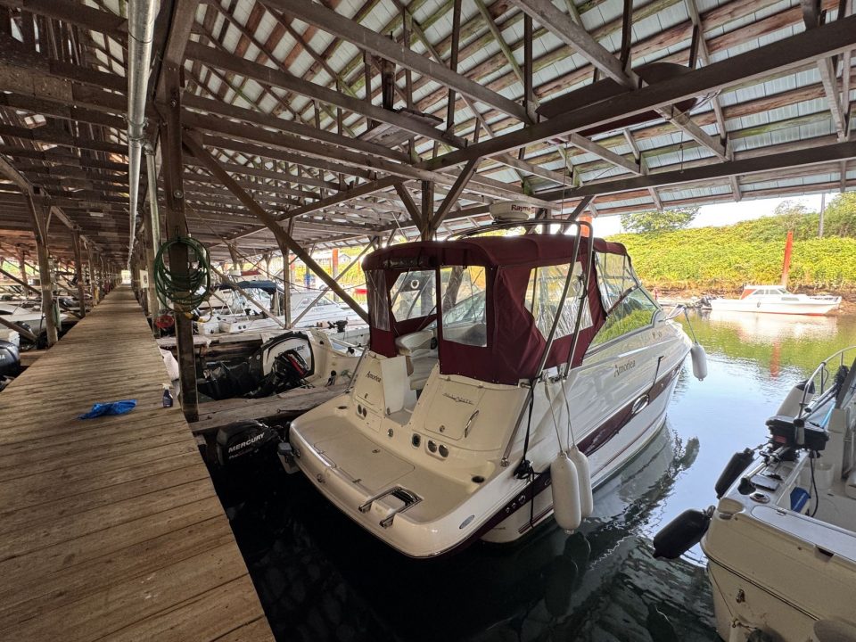 2006 Campion Allante LX 825i