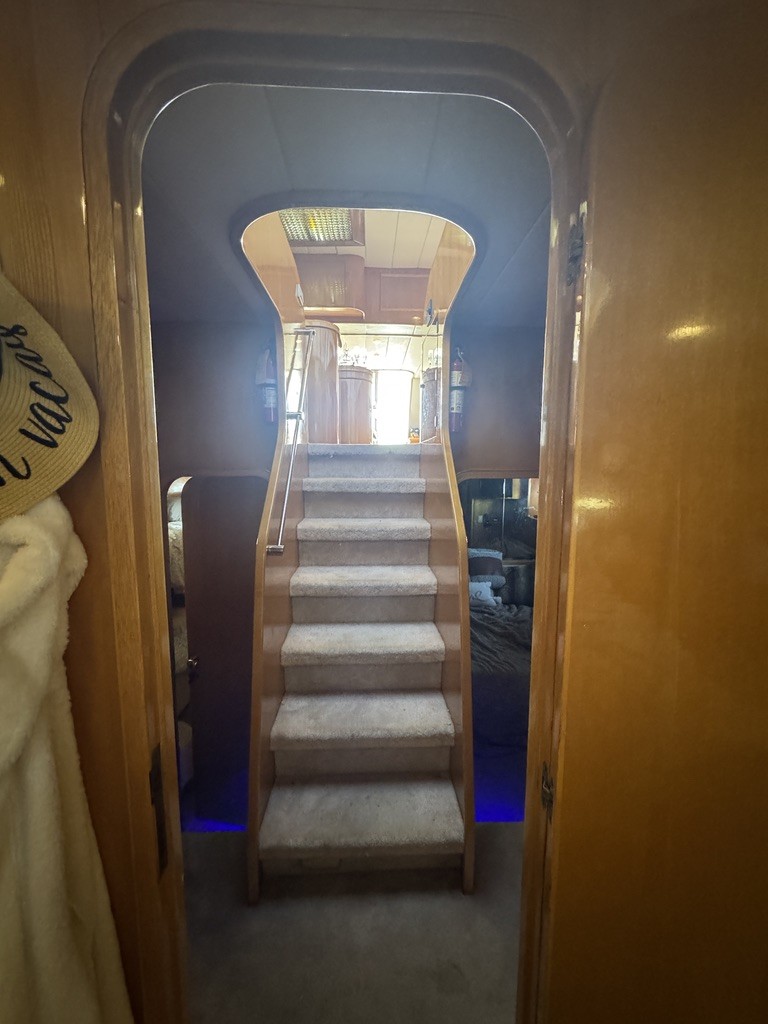 1994 Johnson High-Tech 65 Euro