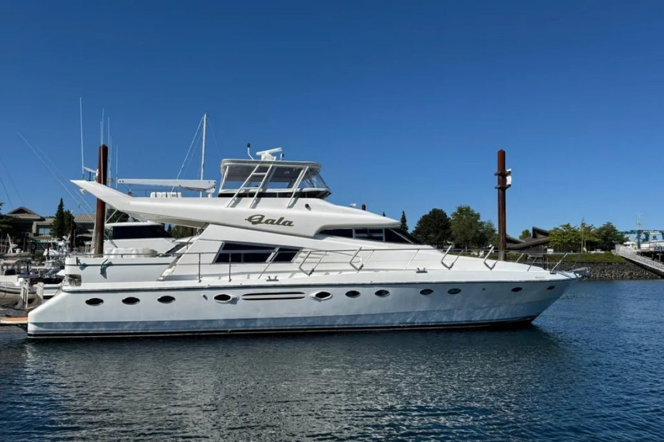 1994 Johnson High-Tech 65 Euro