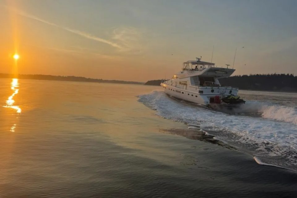 1994 Johnson High-Tech 65 Euro