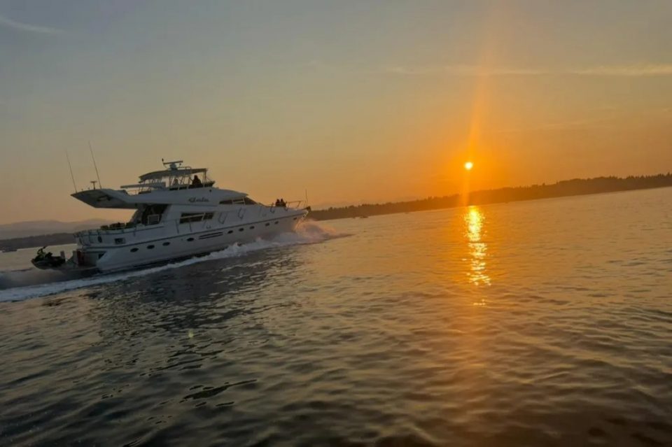 1994 Johnson High-Tech 65 Euro