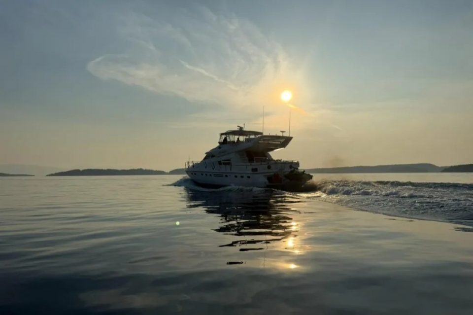 1994 Johnson High-Tech 65 Euro