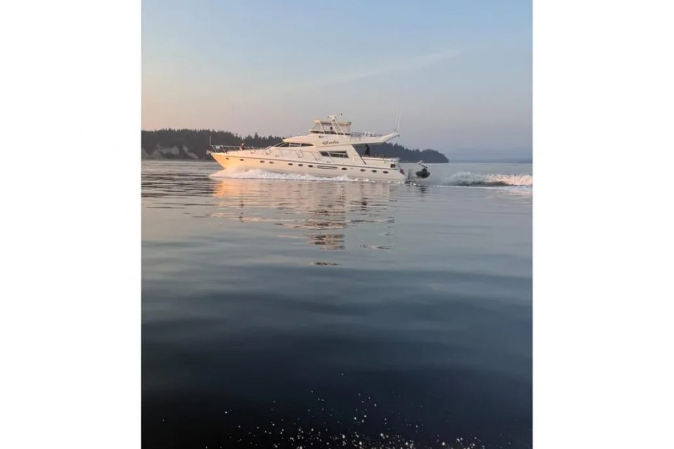 1994 Johnson High-Tech 65 Euro