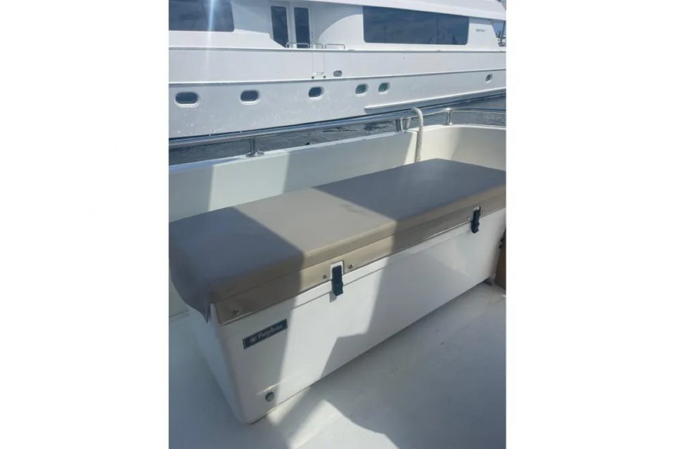 1994 Johnson High-Tech 65 Euro