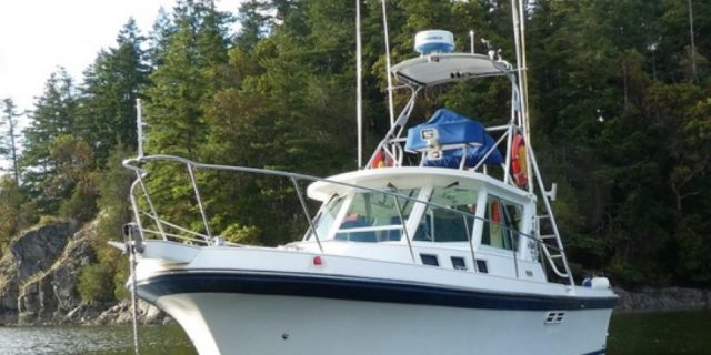 1997 Albin 31 TE