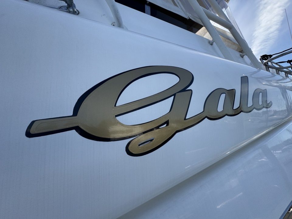 1994 Johnson High-Tech 65 Euro