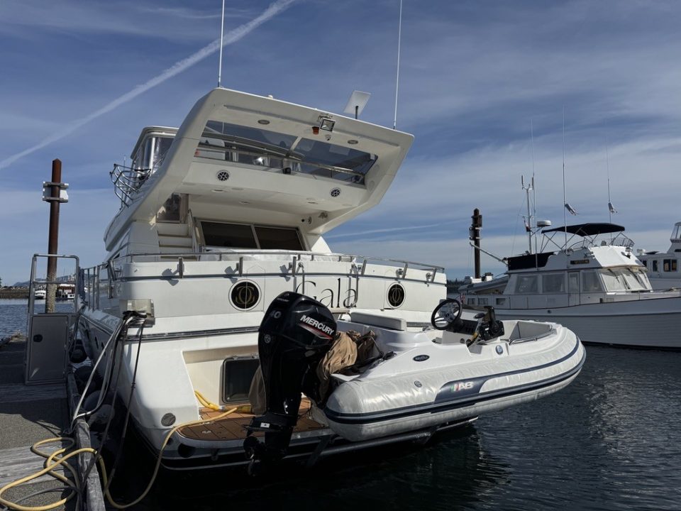 1994 Johnson High-Tech 65 Euro