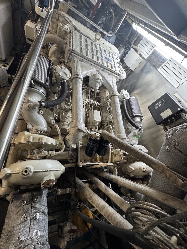 1994 Johnson High-Tech 65 Euro