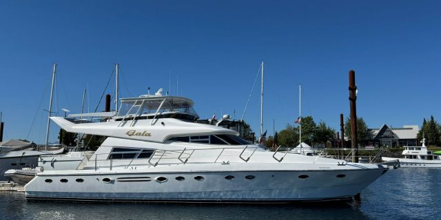 1994 Johnson High-Tech 65 Euro