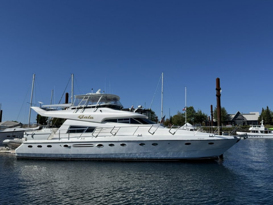 1994 Johnson High-Tech 65 Euro