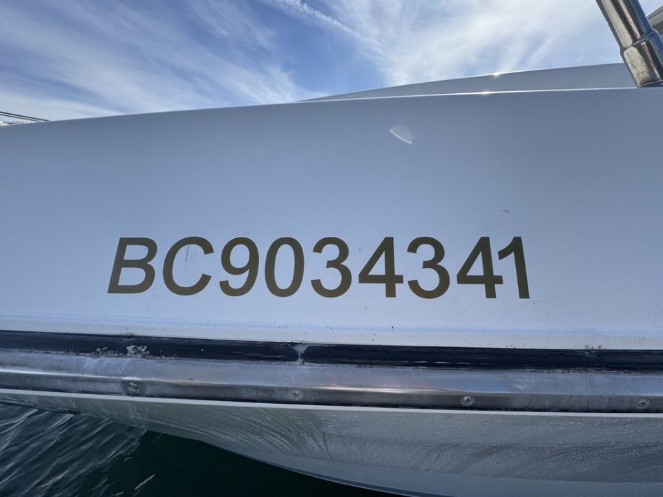 1994 Johnson High-Tech 65 Euro