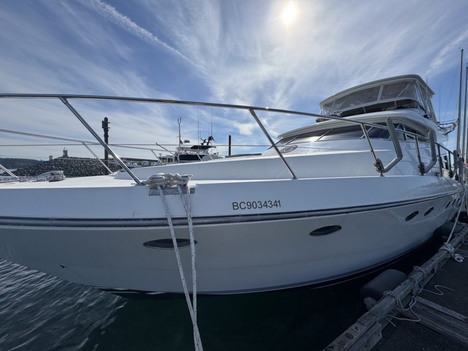 1994 Johnson High-Tech 65 Euro