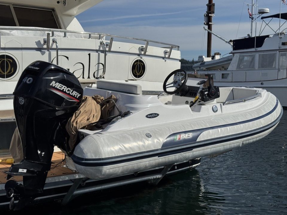 1994 Johnson High-Tech 65 Euro