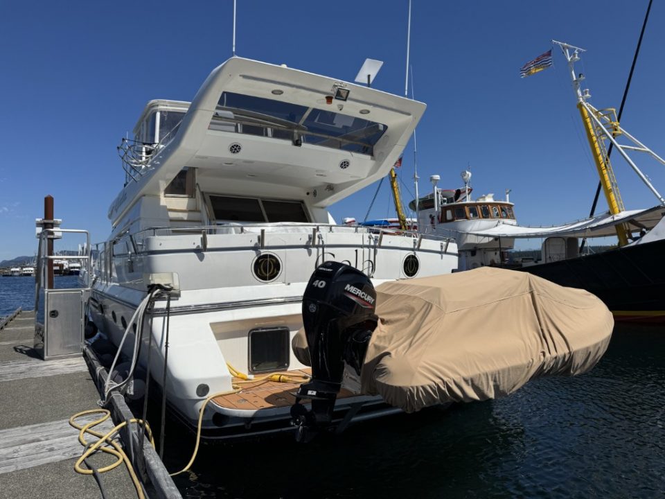 1994 Johnson High-Tech 65 Euro