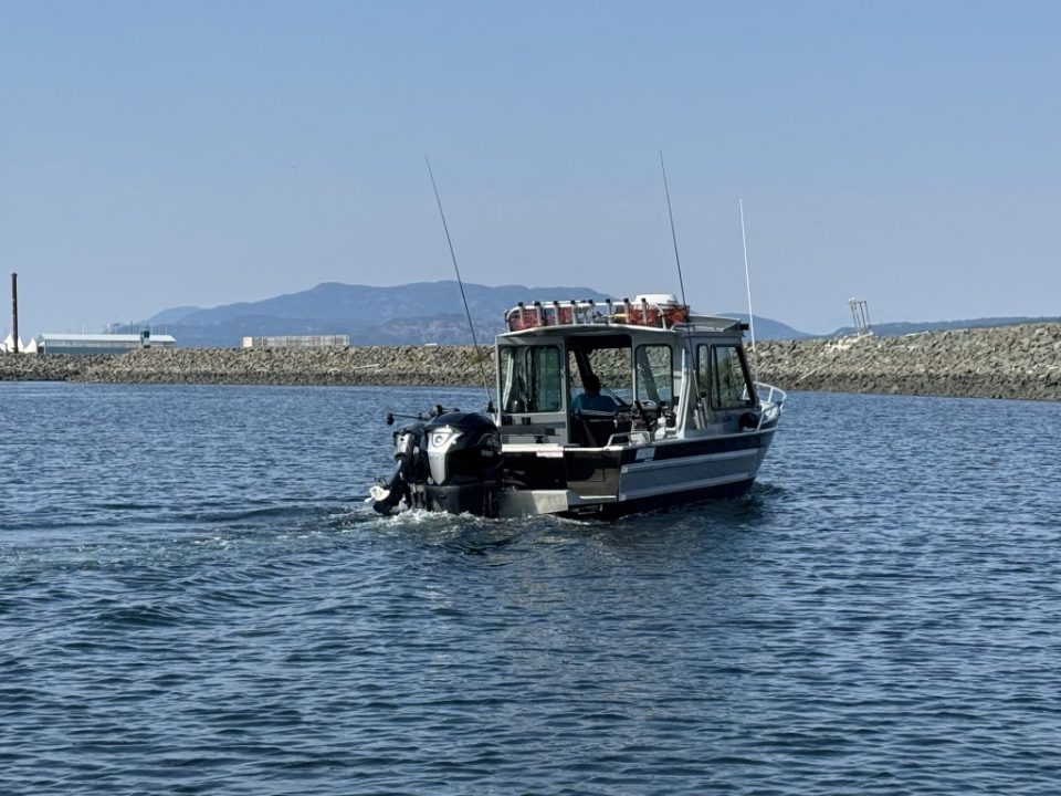 2023 Boulton VOYAGER PRO