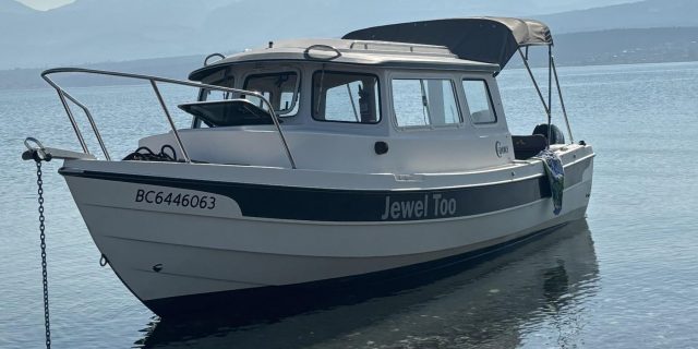 2008 C-Dory 22′ Cruiser