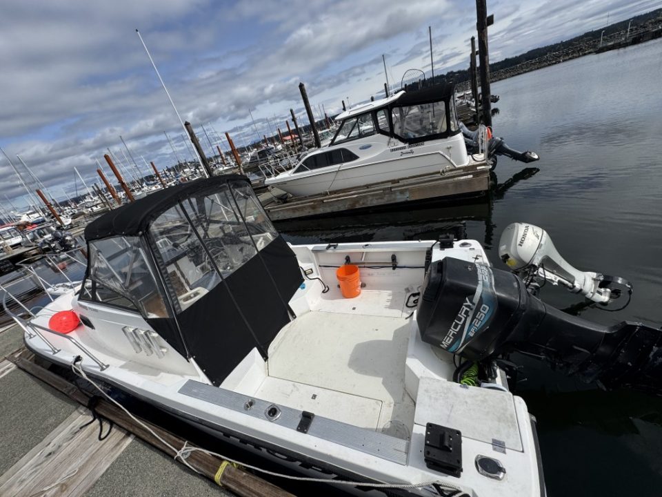 1990 Bayliner 2302 Trophy Walkaround