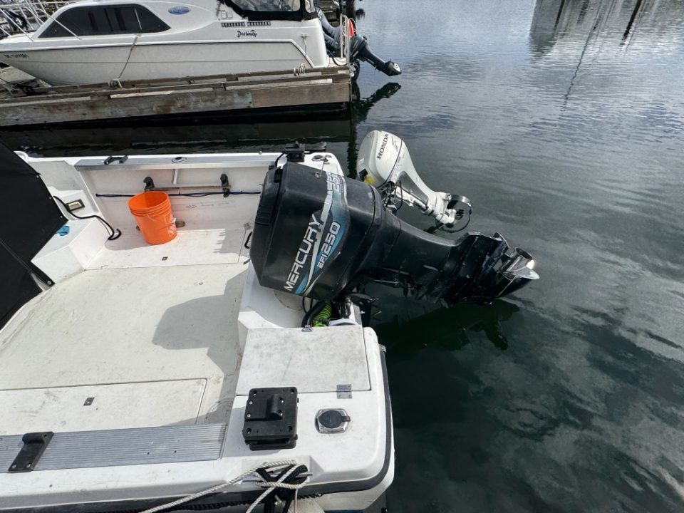 1990 Bayliner 2302 Trophy Walkaround