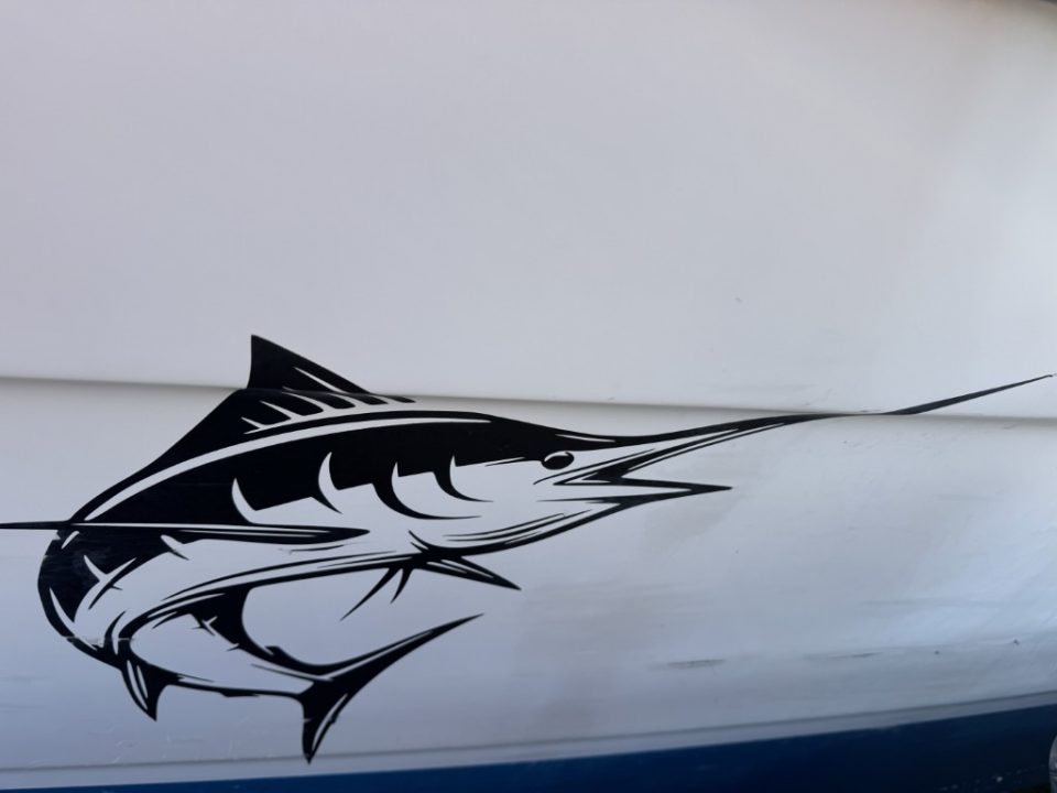 1990 Bayliner 2302 Trophy Walkaround