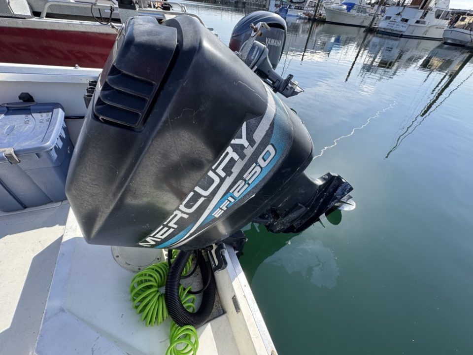 1990 Bayliner 2302 Trophy Walkaround