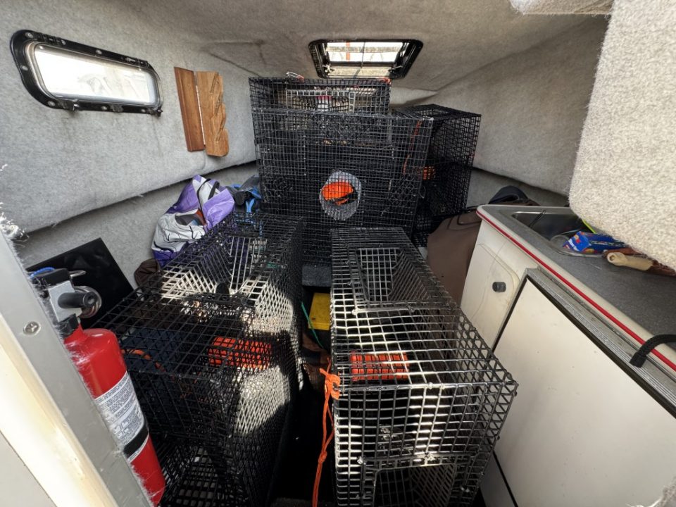 1990 Bayliner 2302 Trophy Walkaround