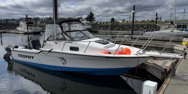1990 Bayliner 2302 Trophy Walkaround