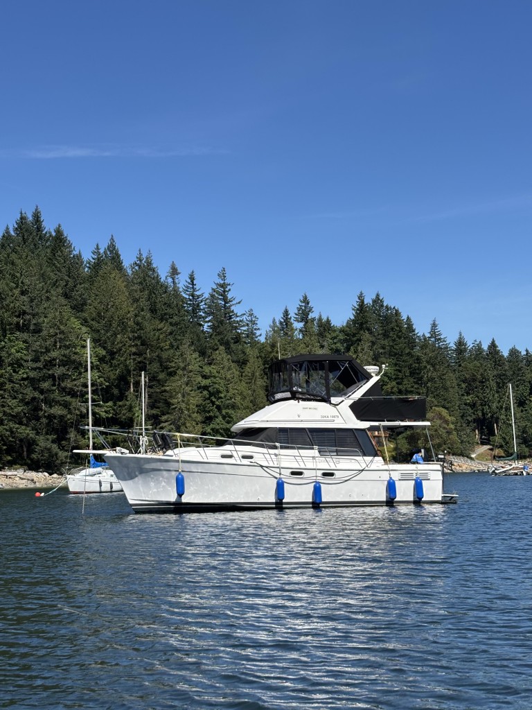 1995 Bayliner 3288 Motoryacht