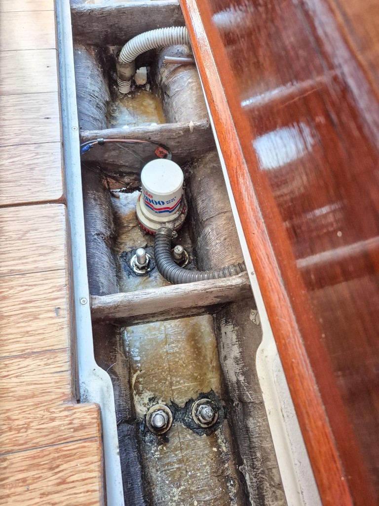 1981 Martin 32