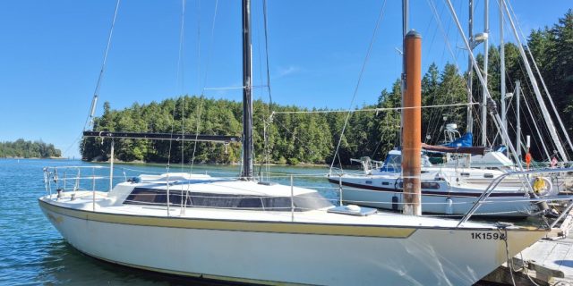 1981 Martin 32