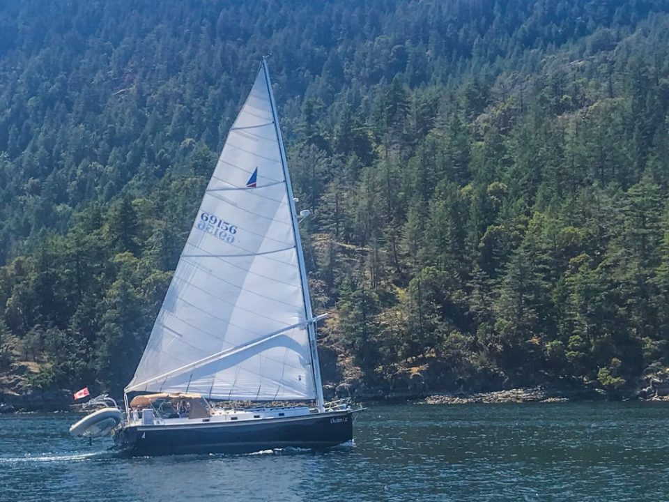 1984 Nonsuch 36