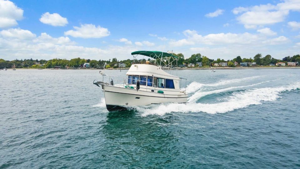 1998 Camano 31 Troll