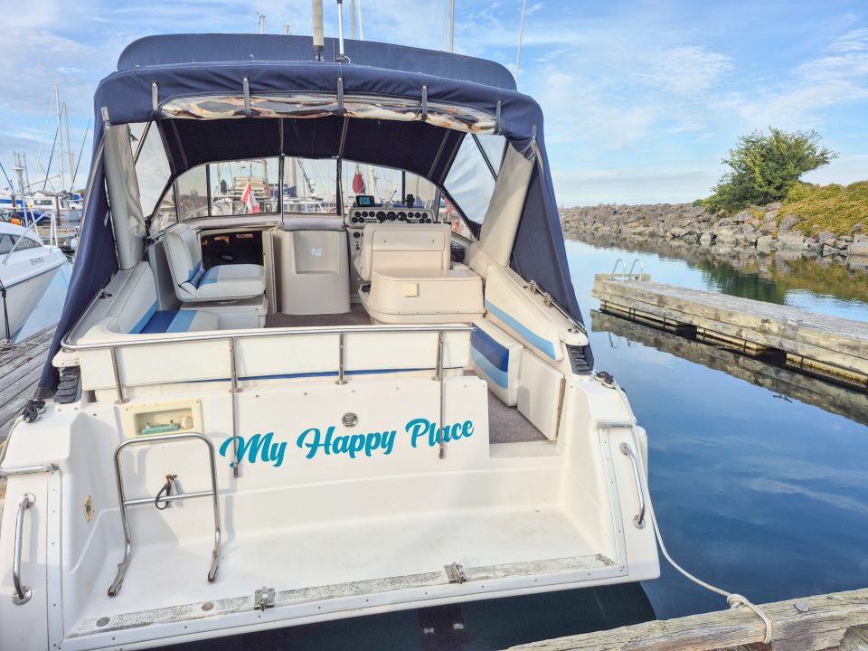 1990 Wellcraft Monaco